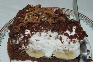Desert tort musuroi de cartita