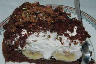 Desert tort musuroi de cartita