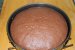 Desert tort musuroi de cartita-6