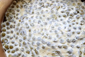 Salata cu piept de pui, legume si maioneza, in straturi