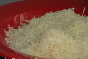 Piept de pui cu parmesan