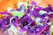 Salata cu somon afumat-4