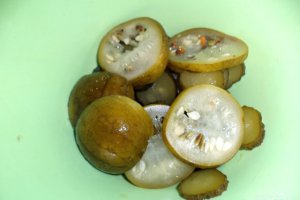 Fasole fandosita cu muraturi pane