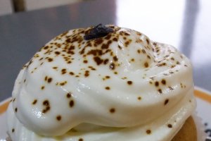 Desert cupcakes tiramisu
