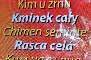 Cartofi umpluti si copti