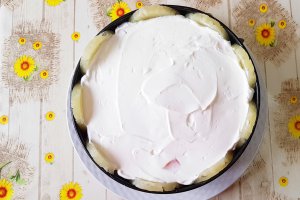 Desert tort cu iaurt si fructe tropicale