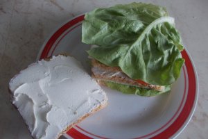 Cheese Club Sandwich