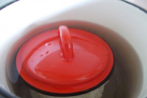Conopida impanata cu cascaval, la cuptor
