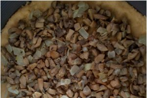 Aperitiv tarta cu ciuperci, gouda si emmentaler