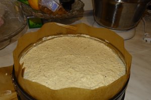 Desert tort Familia