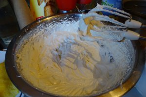 Desert tort Familia