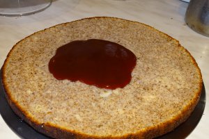 Desert tort Familia