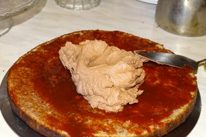 Desert tort Familia
