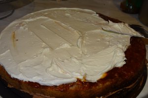 Desert tort Familia