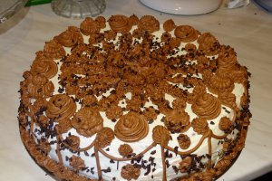 Desert tort Familia