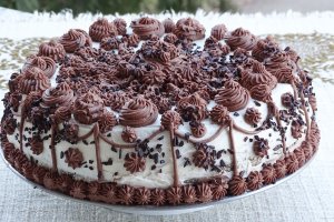 Desert tort Familia