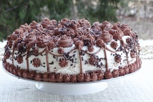 Desert tort Familia