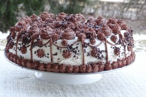 Desert tort Familia
