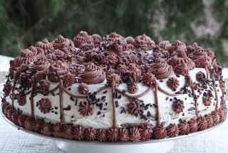 Desert tort Familia