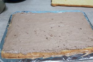 Desert tort cu crema de ciocolata si crema de zmeura
