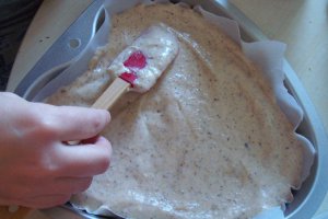 Desert tort Valentine’s Day