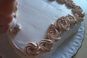 Desert tort Valentine’s Day