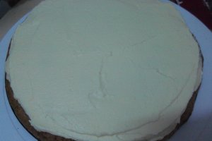 Desert tort Tanu-Motanu
