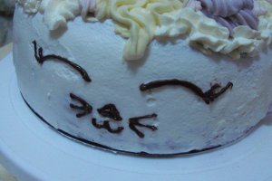 Desert tort Tanu-Motanu