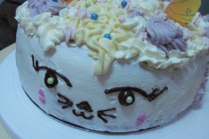 Desert tort Tanu-Motanu