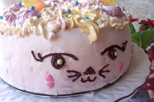 Desert tort Tanu-Motanu