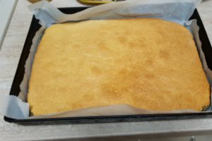 Desert prajitura cu mac