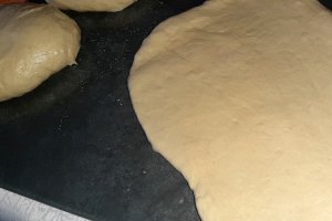 Painea perfecta
