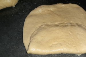 Painea perfecta