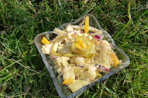 Salata domnitei
