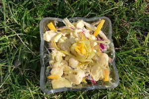 Salata domnitei