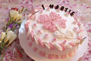 Desert tort Martisor