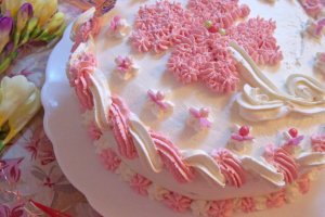Desert tort Martisor