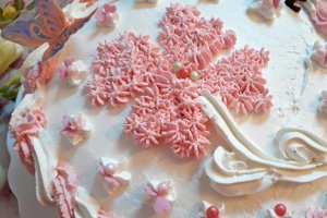 Desert tort Martisor