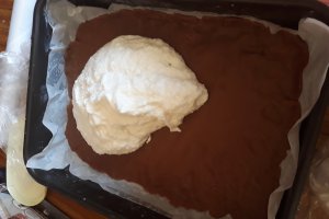 Desert prajitura cu nuca de cocos si crema de vanilie