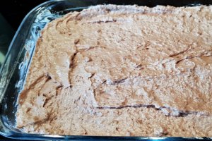 Desert prajitura cu nuci si cu ciocolata (Chinezoaica)