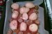 Cartofi noi pe pat de rosii la cuptor-3
