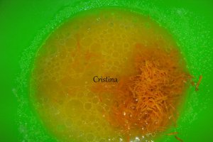 Desert chec aromat  de post