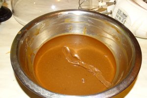 Desert tort M