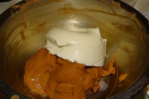 Desert tort M