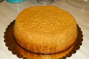 Desert tort M