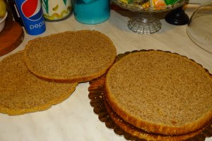 Desert tort M
