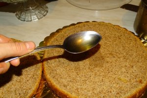 Desert tort M