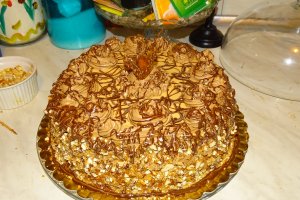 Desert tort M