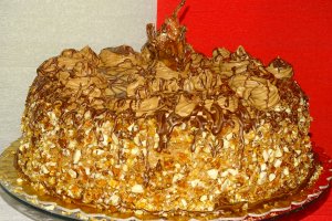 Desert tort M