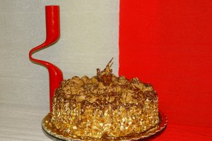 Desert tort M